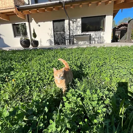 Kafmahof Farm stay
